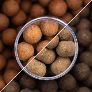 HOOKBAITS