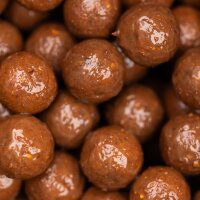 NVIBE IMPACT KRILL LIQUID - 500ml