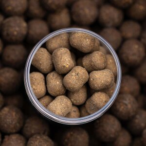 IMPACT SHRIMP DUMBELL WAFTER 15 x 20 mm