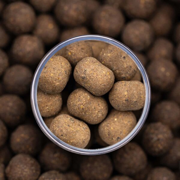 IMPACT SHRIMP DUMBELL WAFTER 20 x 25 mm