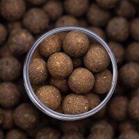 NVIBE IMPACT SHRIMP HOOKBAITS - 20 mm