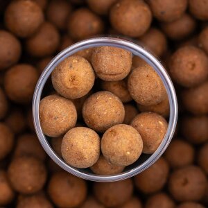 NVIBE IMPACT KRILL HOOKBAITS - 20 mm