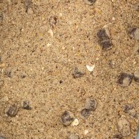 NVIBE IMPACT SHRIMP GROUNDBAIT - 2500 Gramm