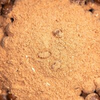 NVIBE IMPACT KRILL GROUNDBAIT - 2500 Gramm