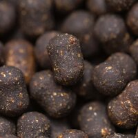 NVIBE IMPACT SHRIMP DUMBELL - 2,5 KG – 15 x 20 mm